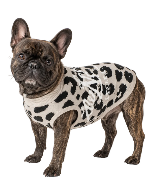 Maculae Leopardī Knitted Pet Sweater