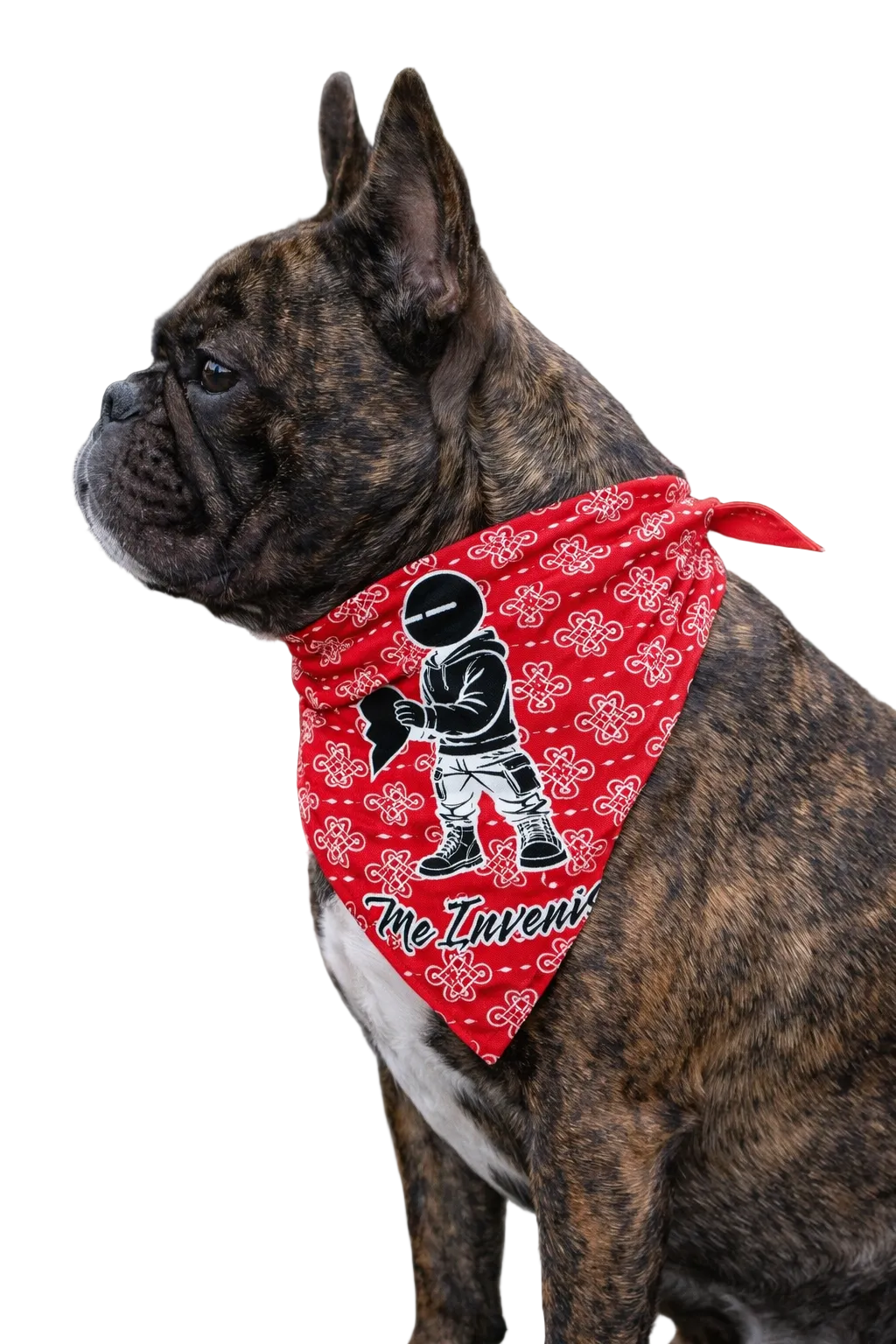 Me Invenis - You Find Me Valentine Special Bandana