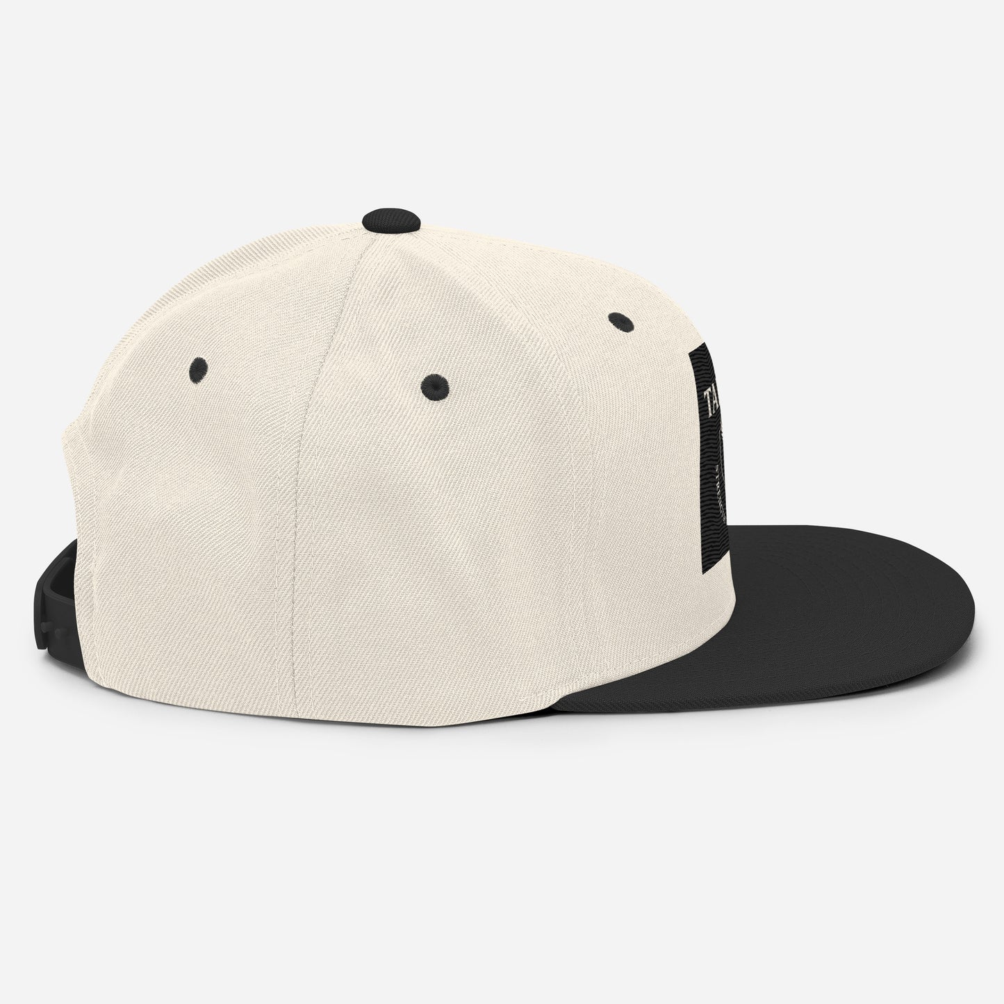 Snapback Hat.