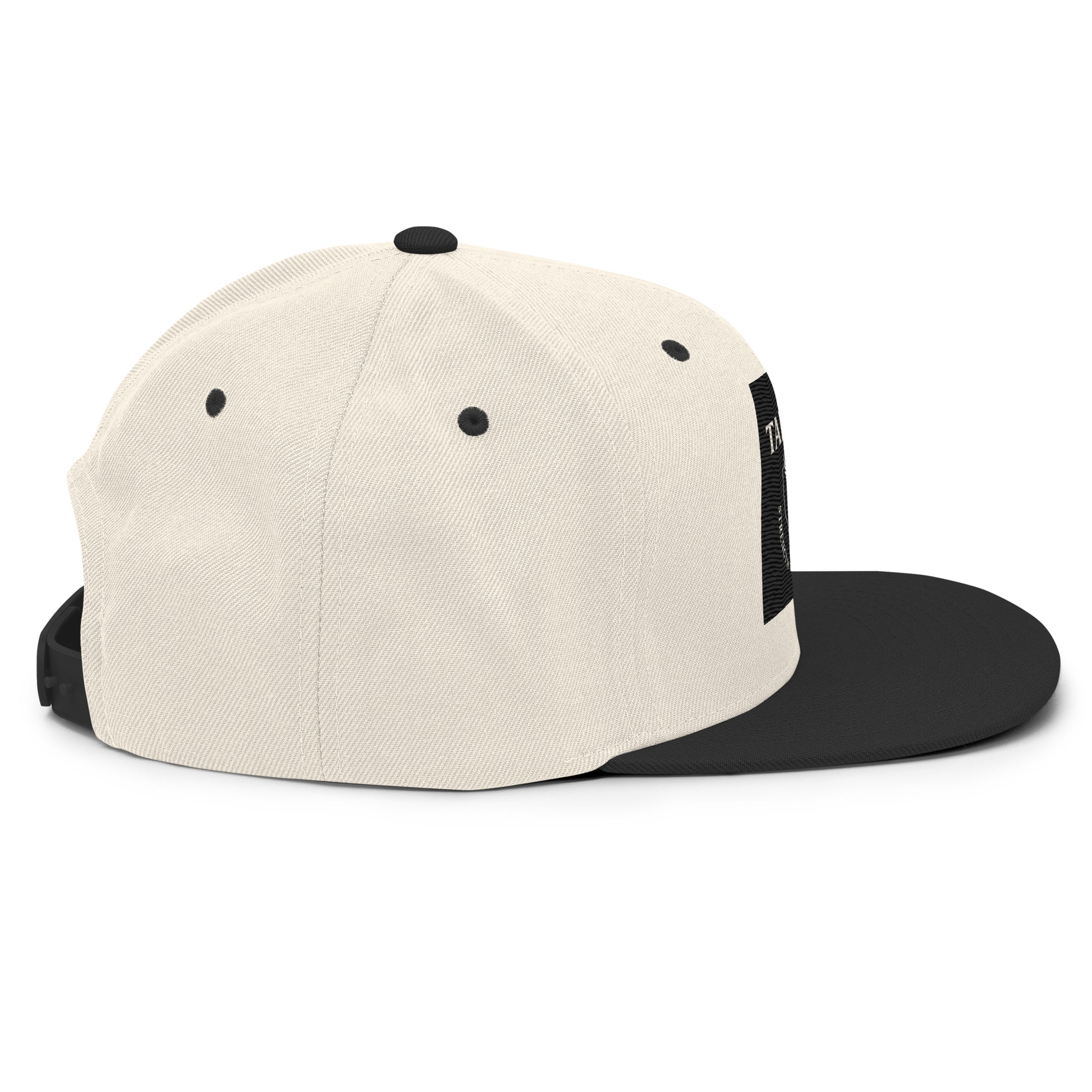 Snapback Hat.